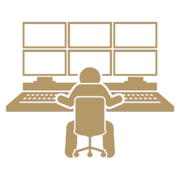 Rondines en Tiempo Real